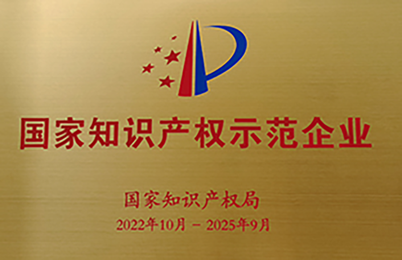 国家知识产权示范企业