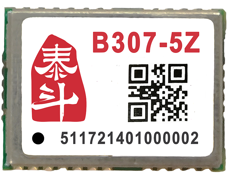 B307-5Z