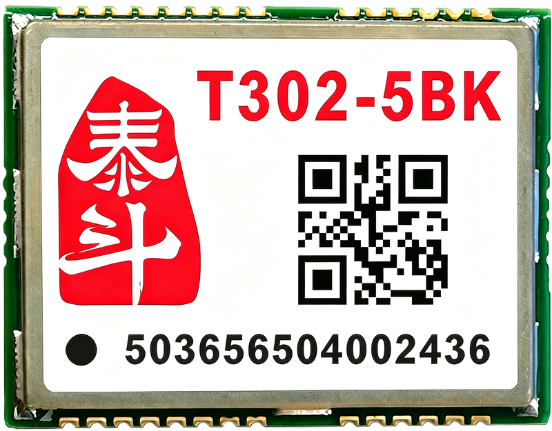 T302-5BK