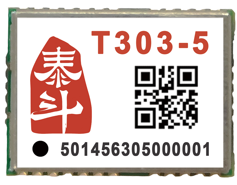 T303-5